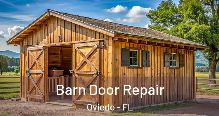  Barn Door Repair Oviedo - FL