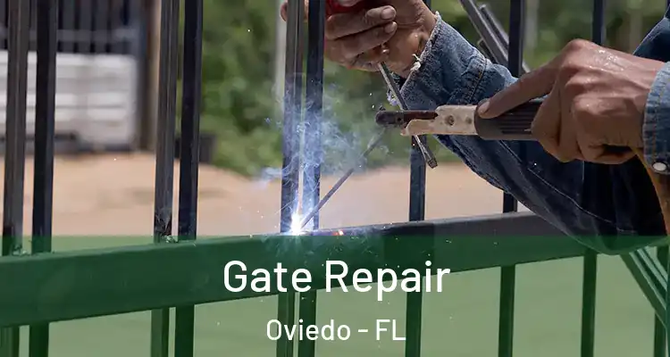  Gate Repair Oviedo - FL